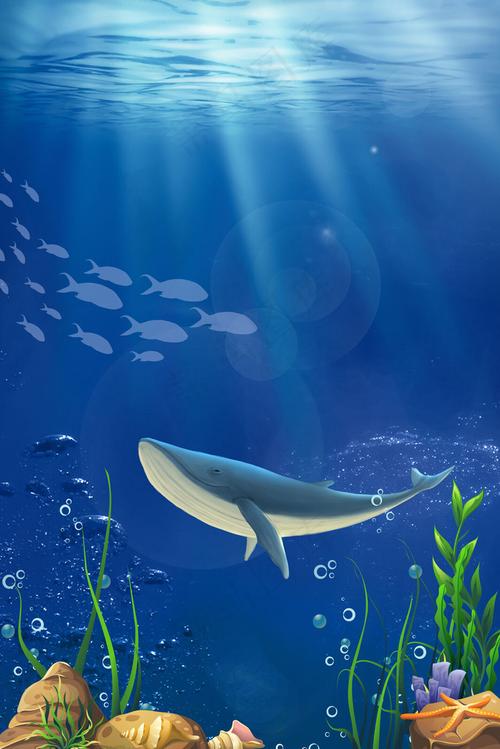 本素材作品名称为蓝色海洋动物广告设计背景图(3545*5315px )psd模版